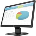HP P204 19.5-inch HD LED Monitor