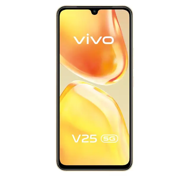 Vivo V25e